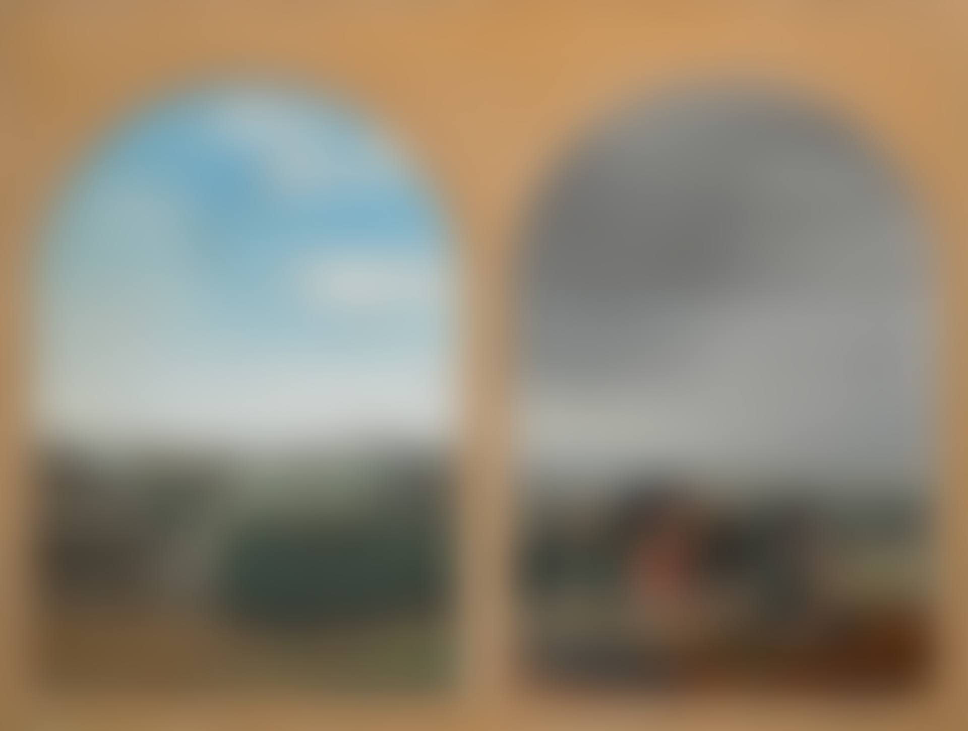 LA DIALECTIQUE APPLIQUÉE (preview)