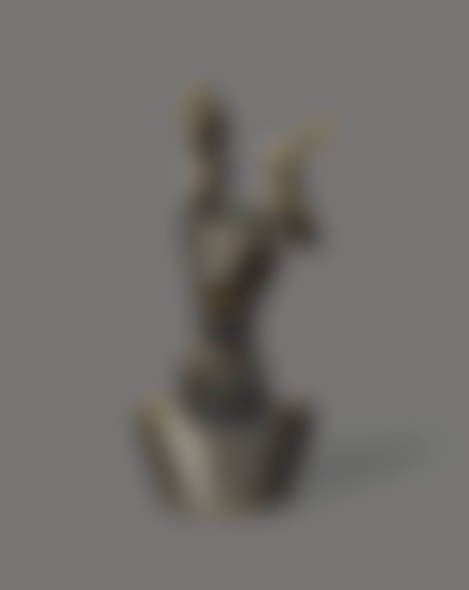 L'IMBÉCILE (preview)