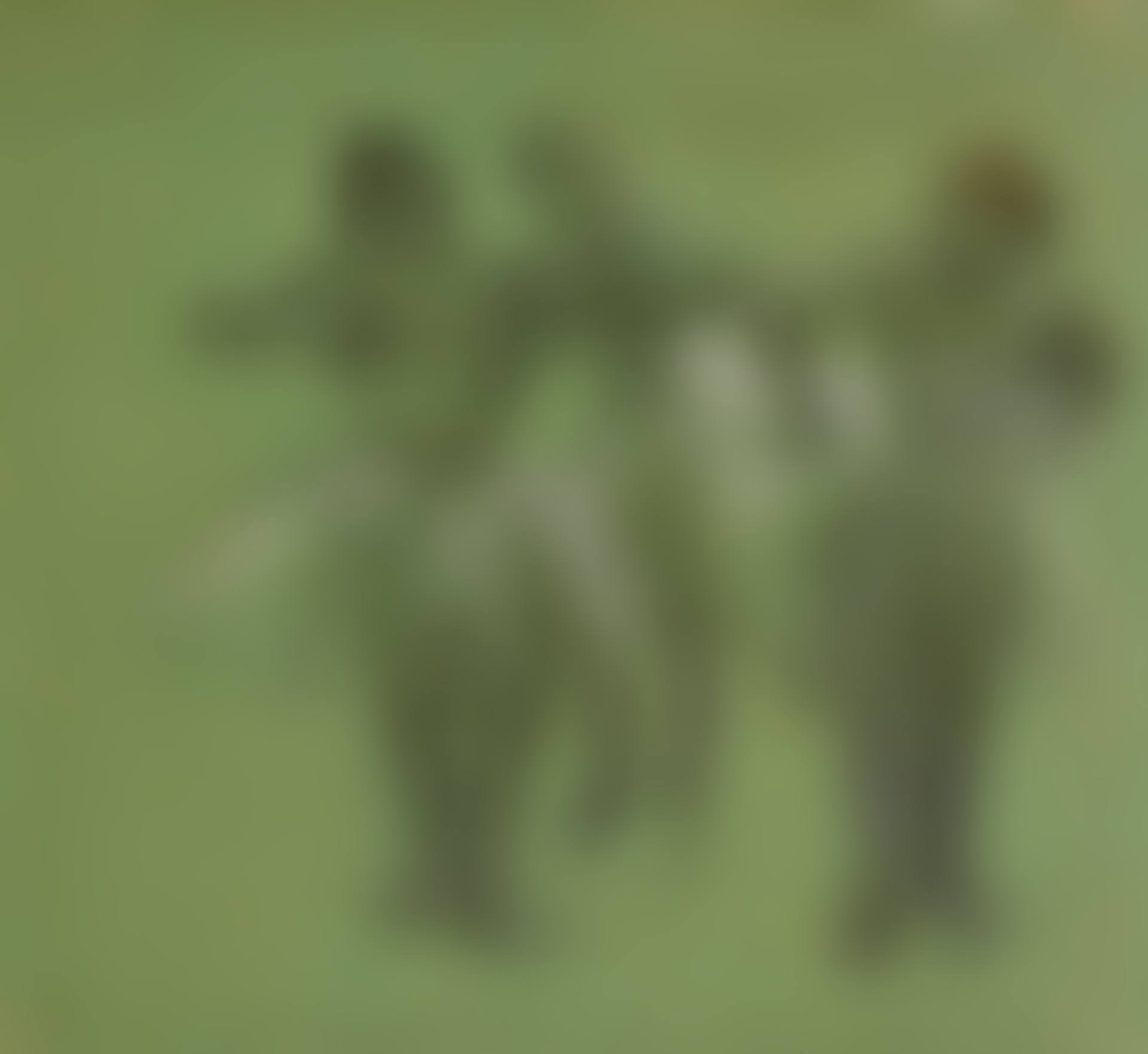 TROIS DANSEUSES (preview)