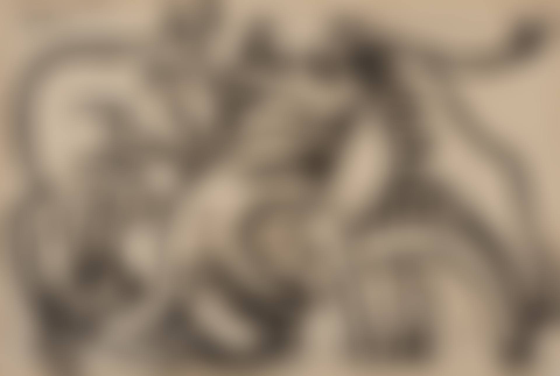 COMBAT DE TAUREAU ET CHEVAL (preview)