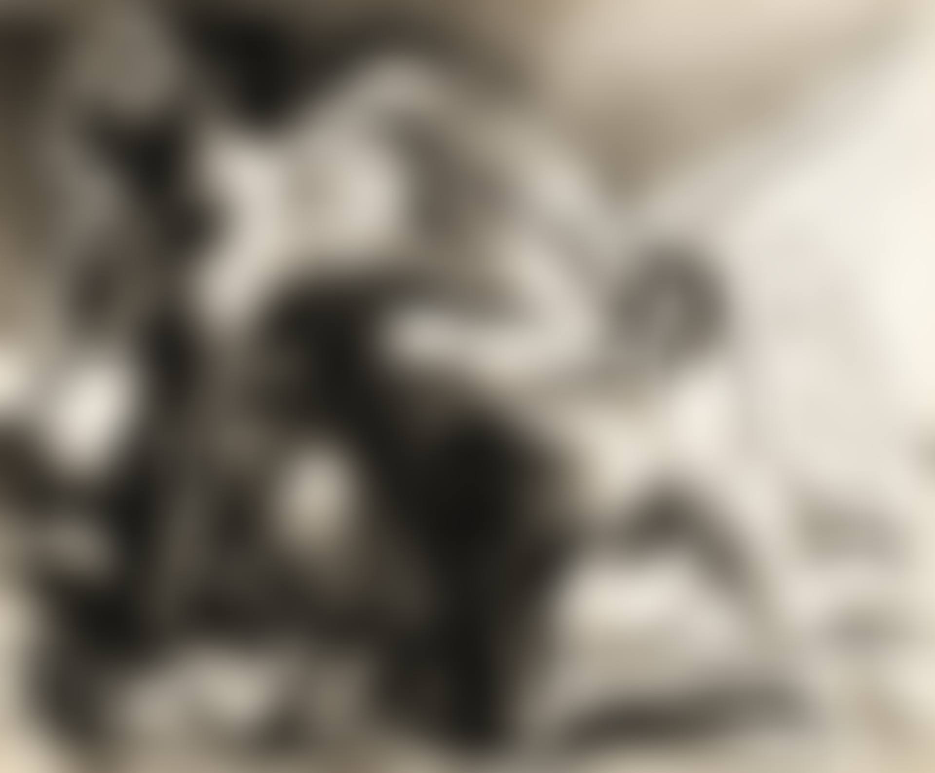 LE VIOL (preview)