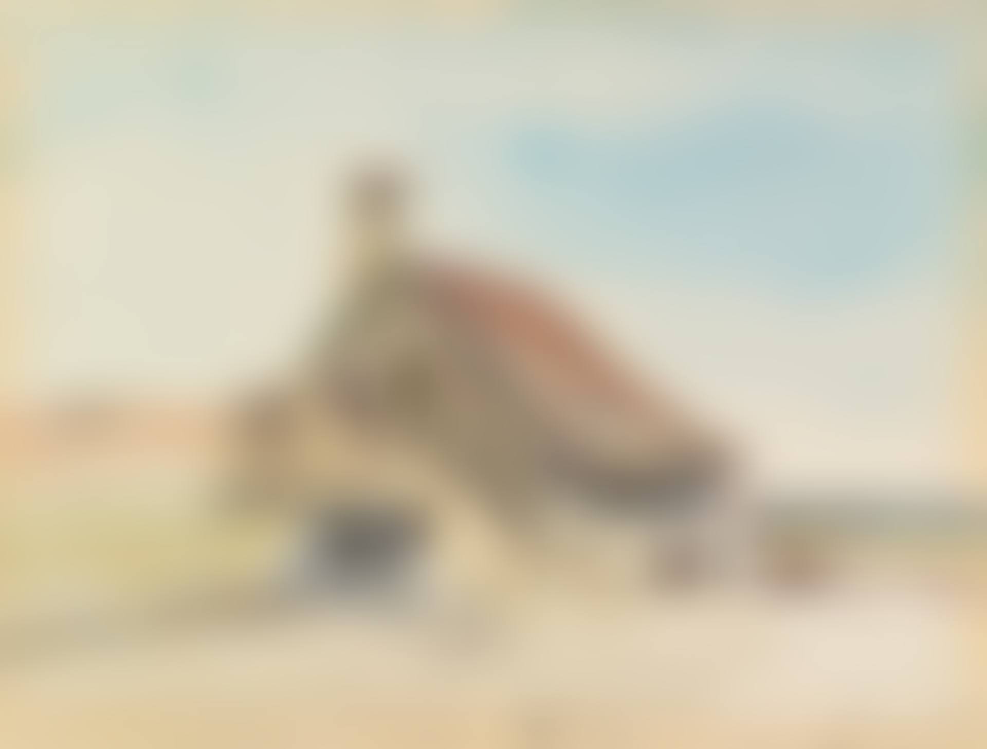 LA FERME À SAINT-PARIZE-LE-CHÂTEL (NIÈVRE)  (preview)