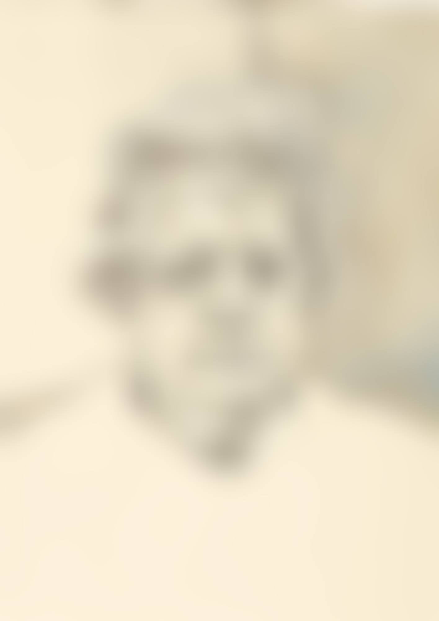 THE PAINTER'S MOTHER (preview)