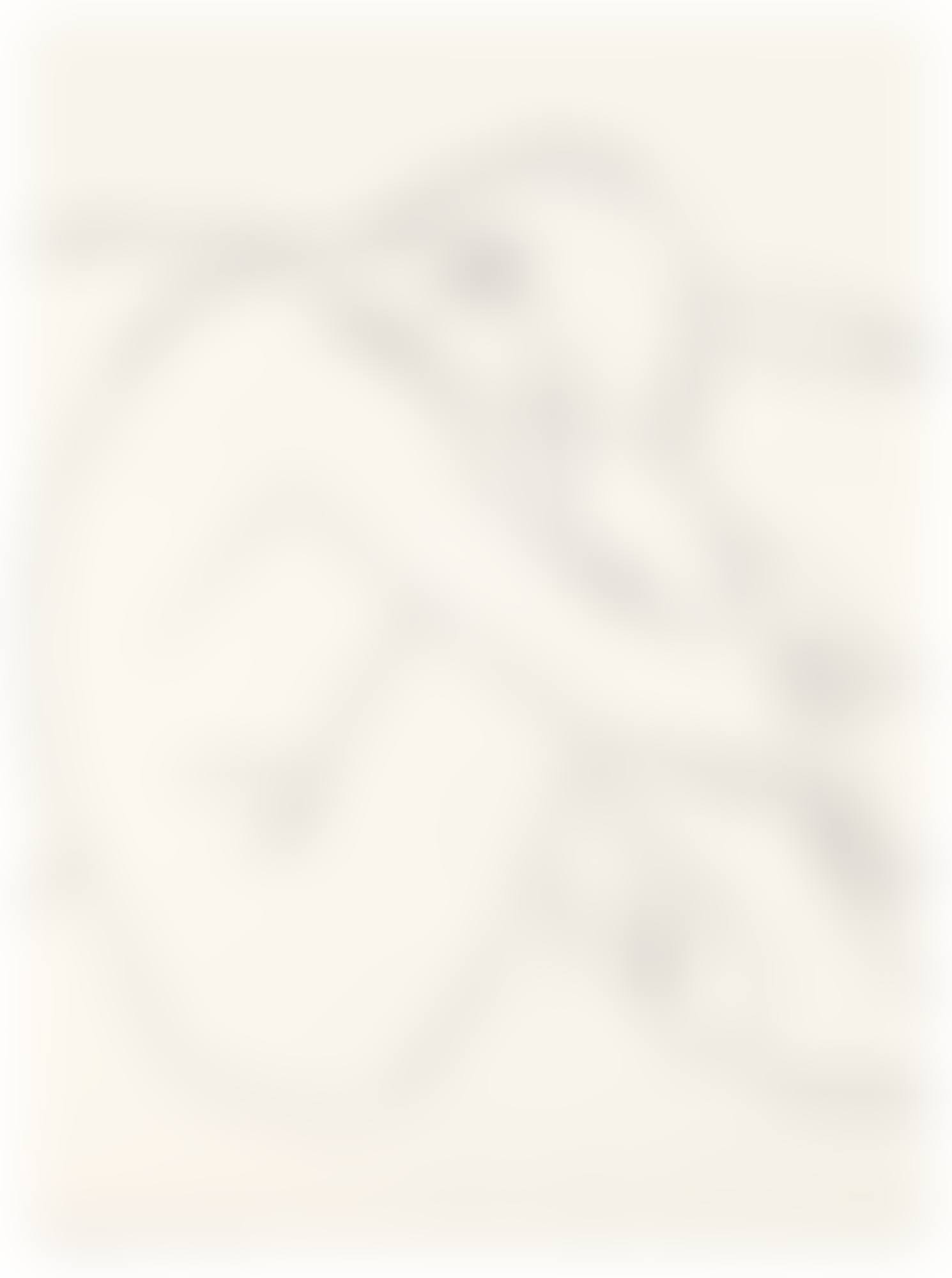HOMMAGE TO WILHELM VON GLOEDEN (preview)
