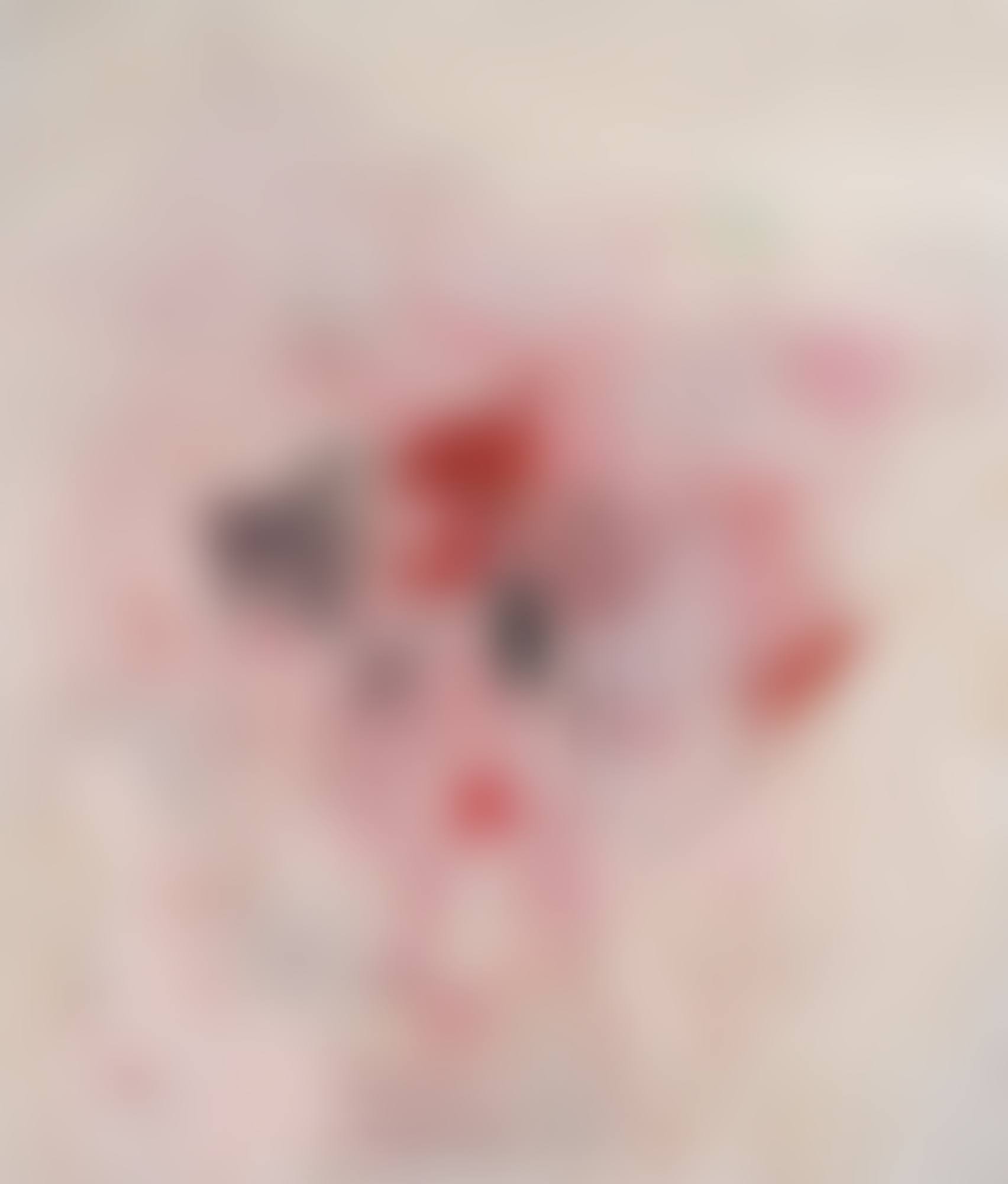 THE VISIT (preview)