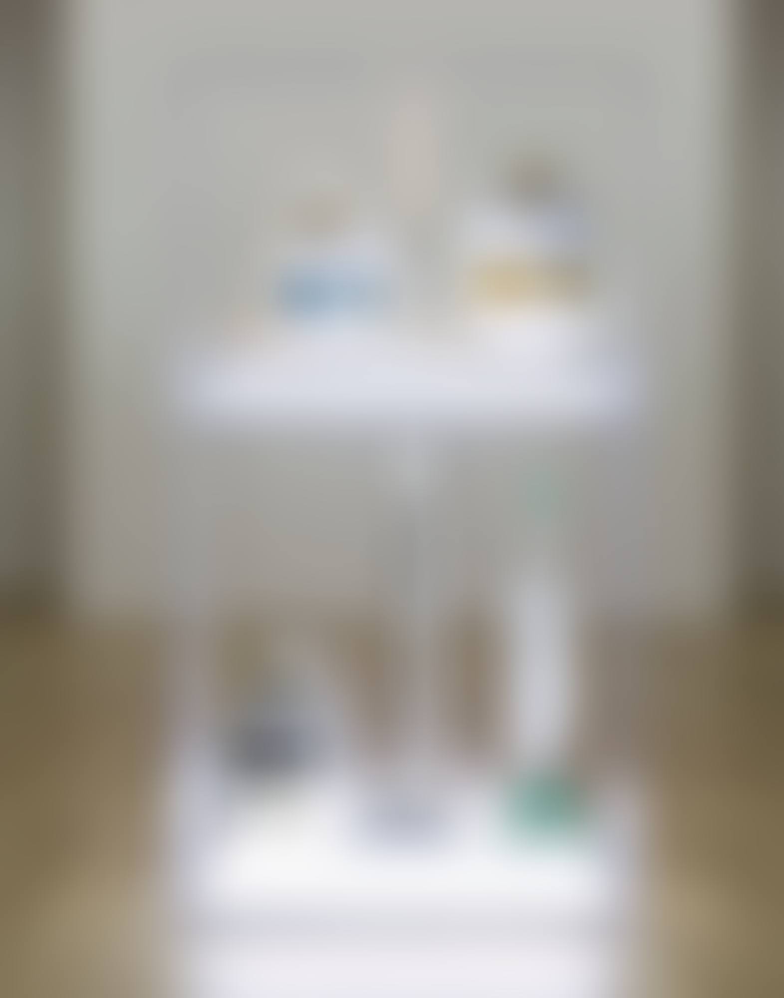NEW HOOVER CELEBRITY IV, NEW HOOVER CONVERTIBLE, NEW SHELTON 5 GALLON WET/DRY, NEW SHELTON 10 GALLON WET/DRY DOUBLEDECKER (preview)