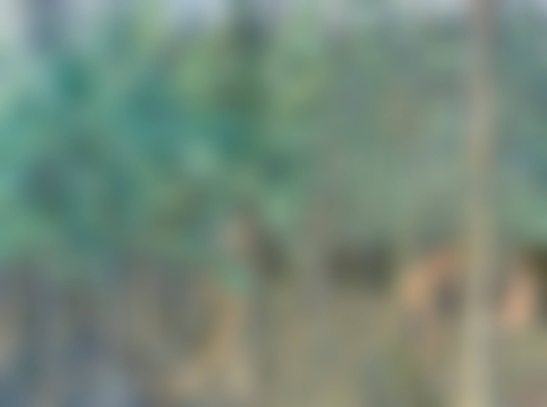 PLANTACIÓN CON DOS FIGURAS (preview)