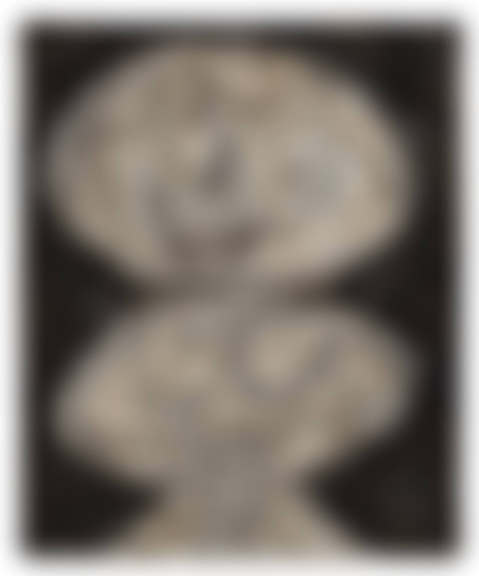 BOUCHE EN CROISSANT ( OU RIEUSE À BOUCHE EN CROISSANT DE LUNE) (preview)