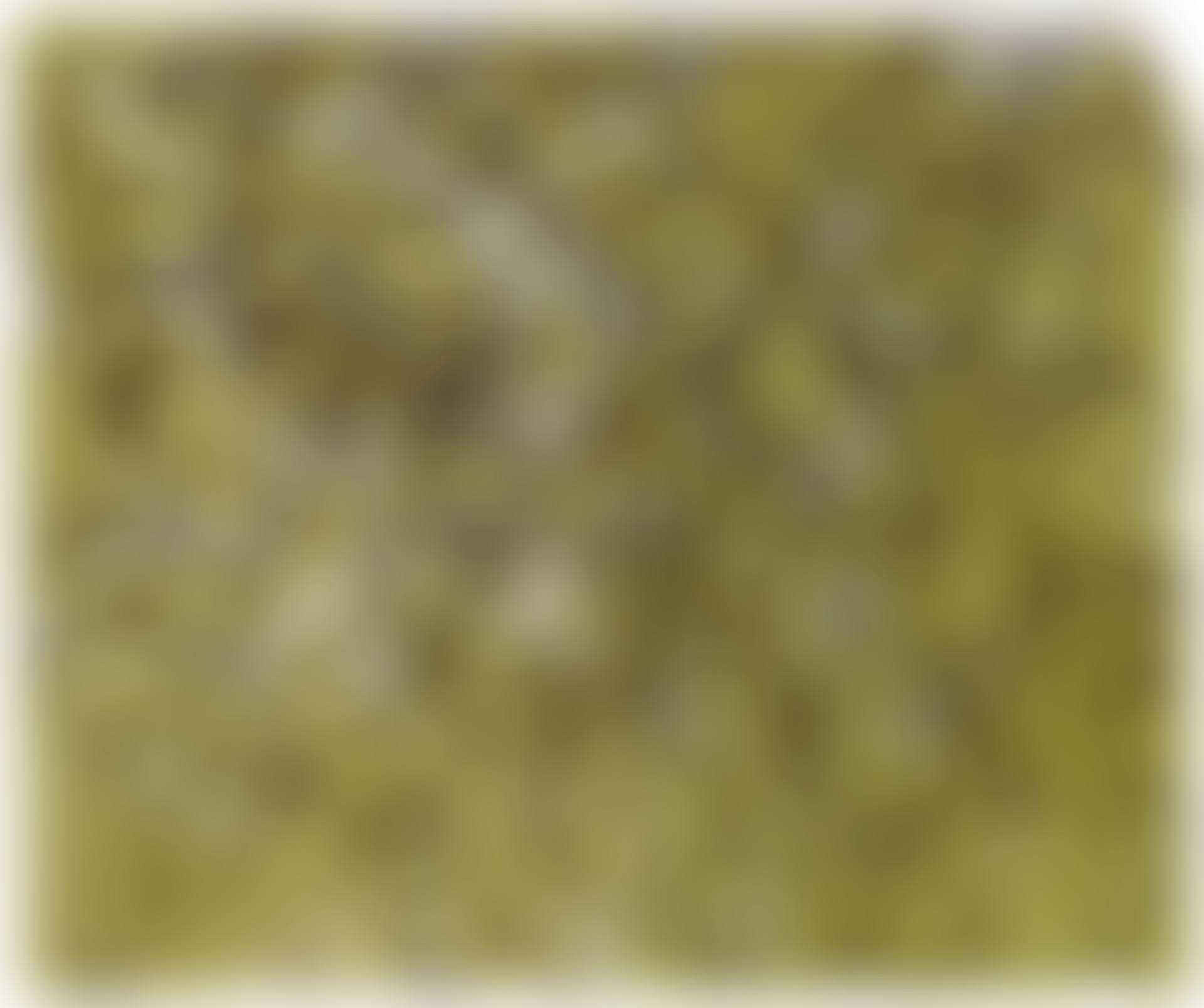 HYDRA DIPTYCH (preview)