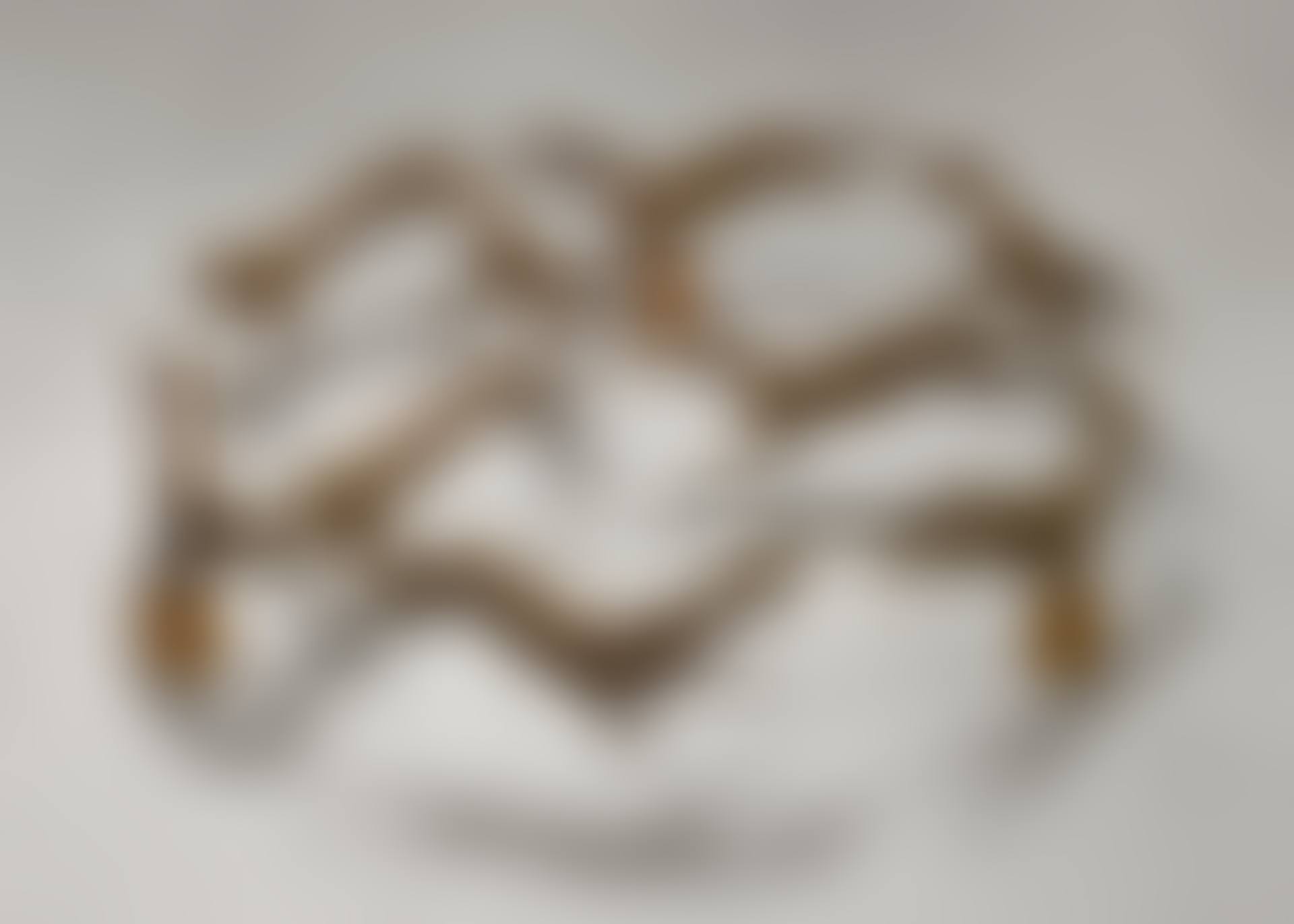 FOX WHEEL (preview)
