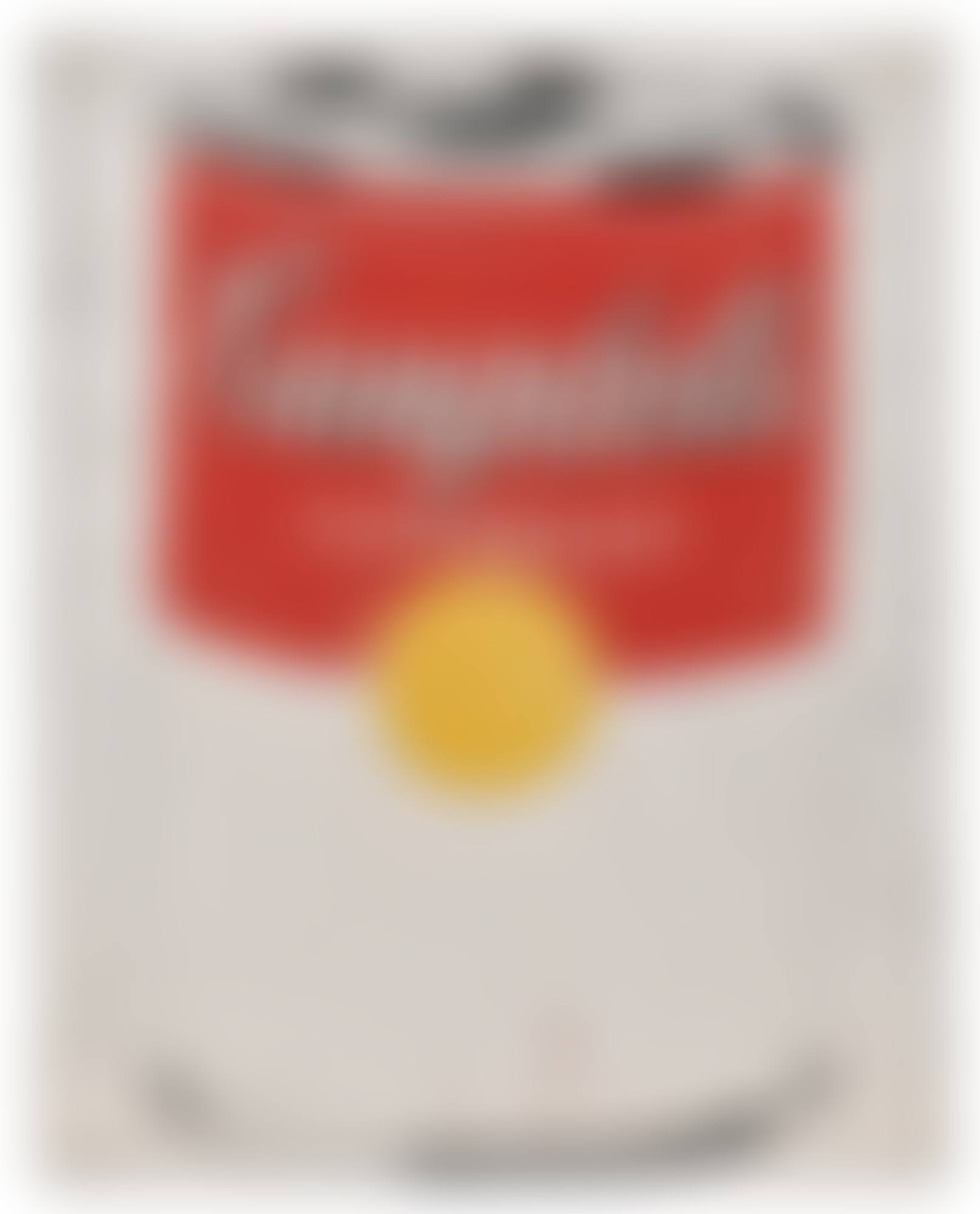CAMPBELL'S SOUP CAN (preview)