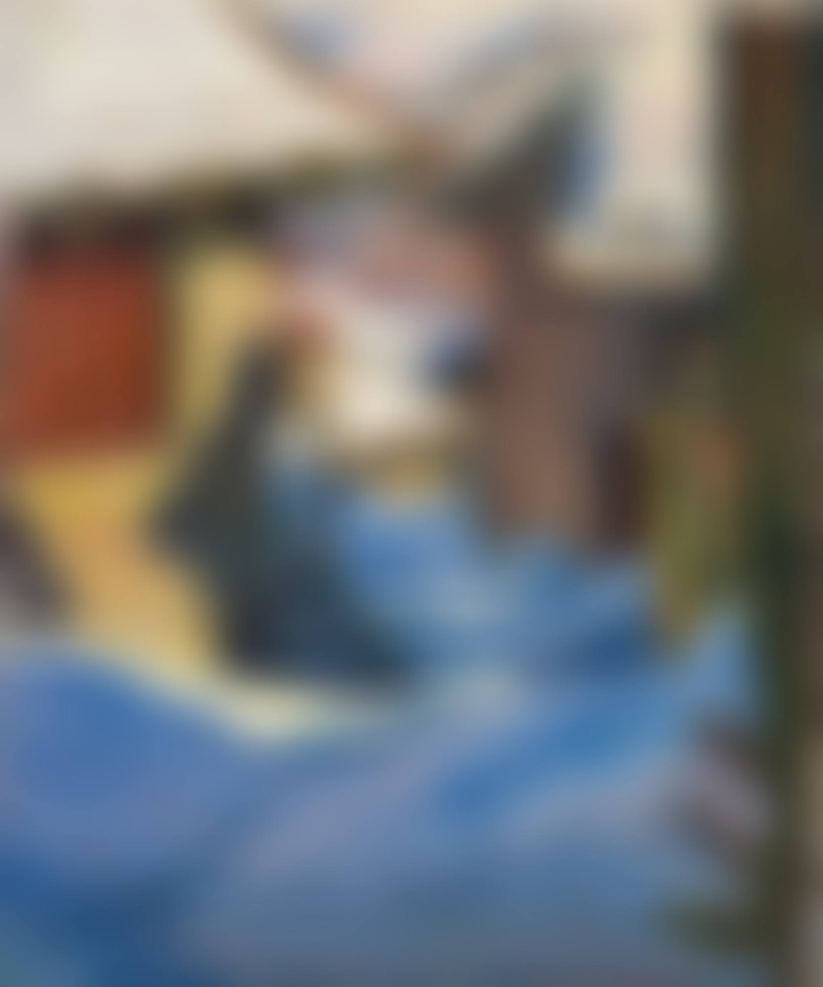 VERSCHNEITE DORFPARTIE IN CAPOLAGO (preview)