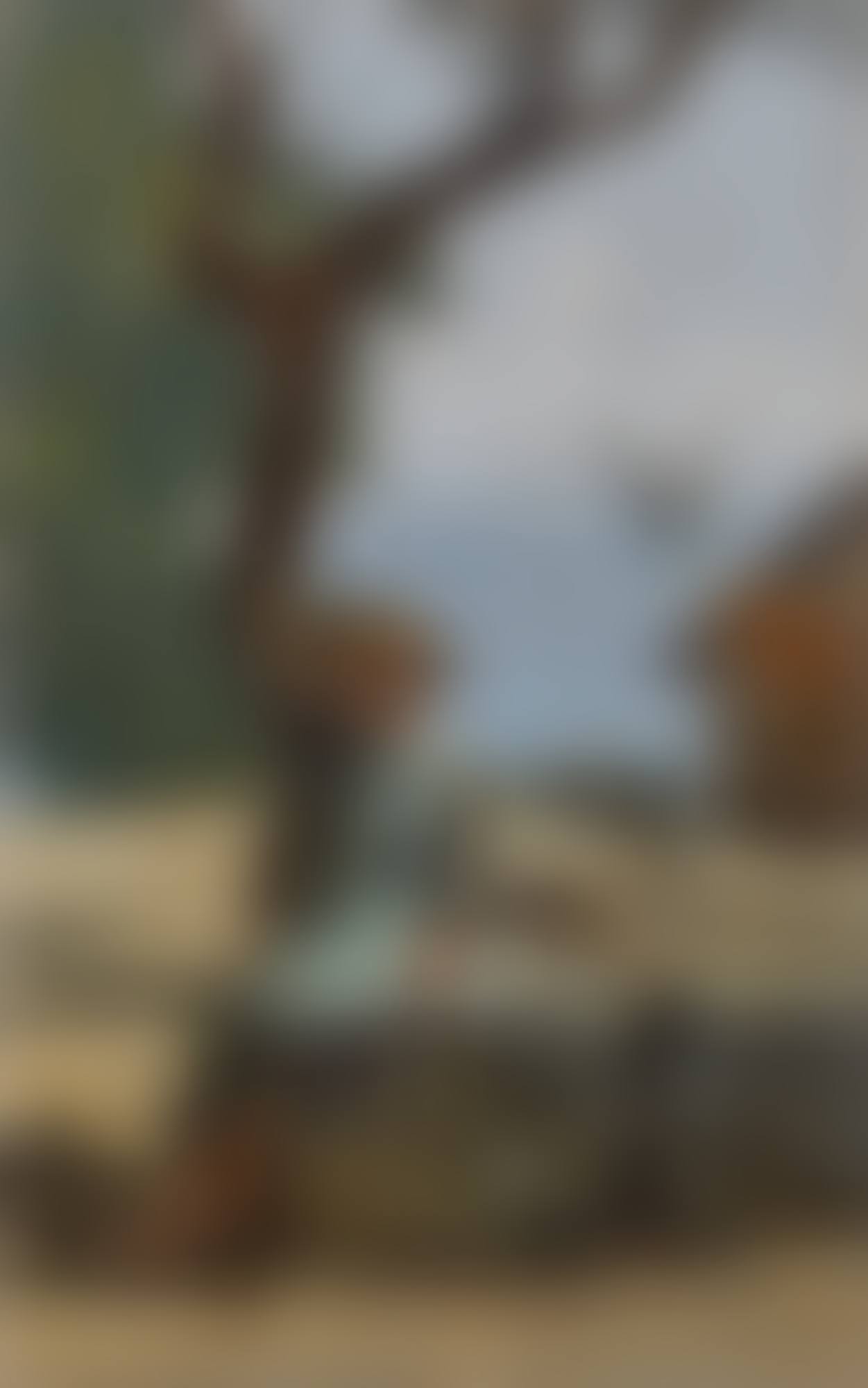 PETITE SAVOYARDE À YVOIRE (preview)