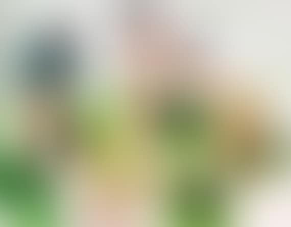 Ohne Titel (preview)