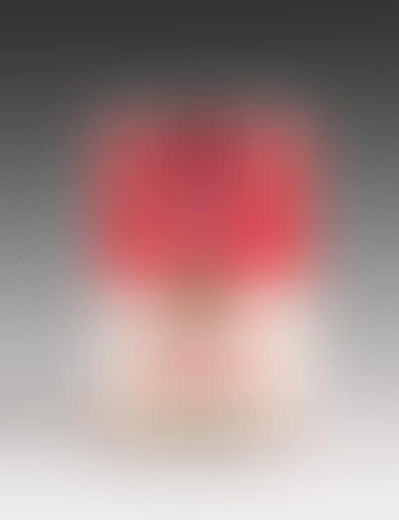 Campbell's Soup Can: Tomato Soup (preview)