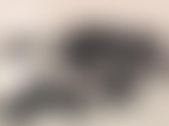 Esprai negre V (preview)
