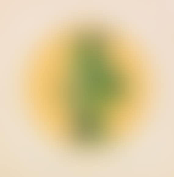 Amphore (preview)