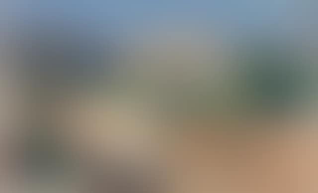 Vineyard Rosas, Anticoli (preview)