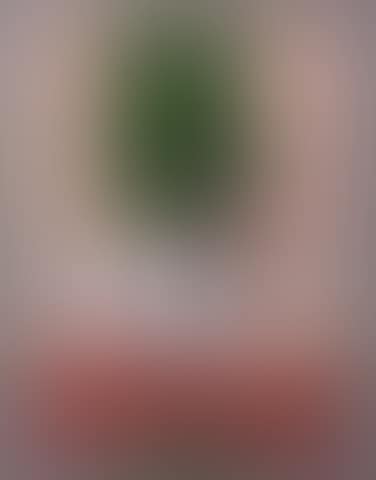 Green Shutters, Italy (preview)