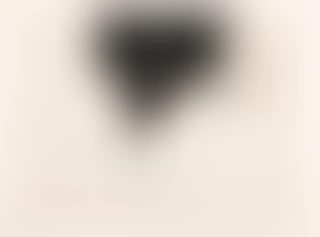 One plate, from Verve Nos.29-30 (preview)