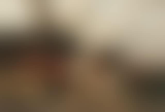 Farmyard fowl (preview)