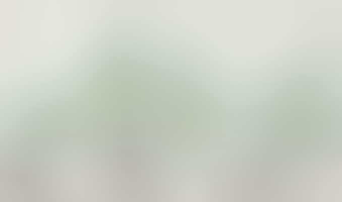 New Spring (preview)