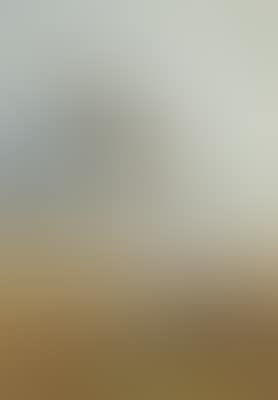 Snipe drumming (preview)