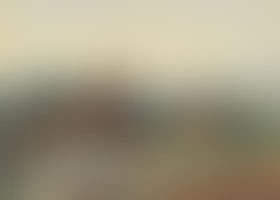 A pair of red grouse in moorland (preview)