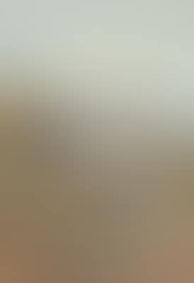 A pair of ptarmigan in mid-plumage (preview)