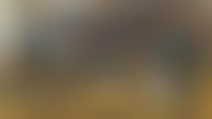 Wood pigeon in a glade (preview)