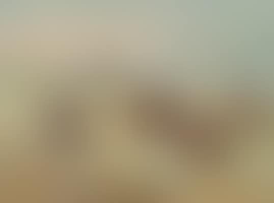 A frosty dawn' (preview)