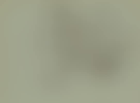 A sheet of studies of grey partridge (preview)