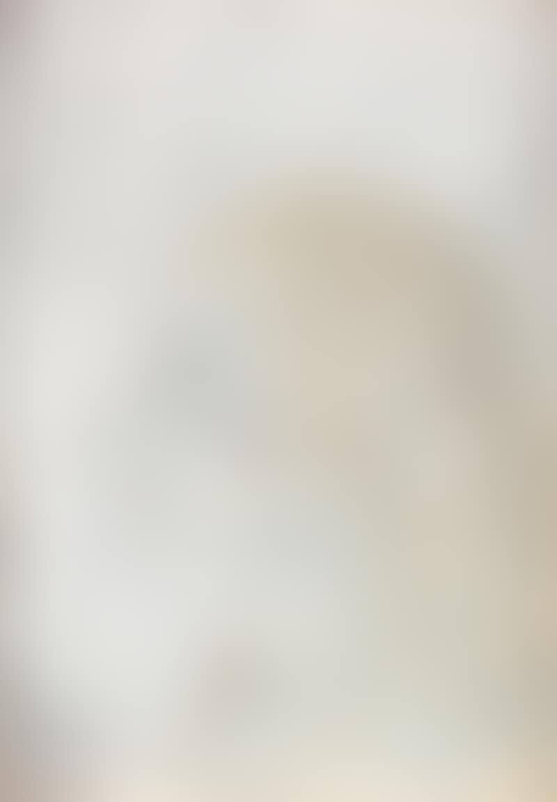 Side Portrait Of Lady (preview)
