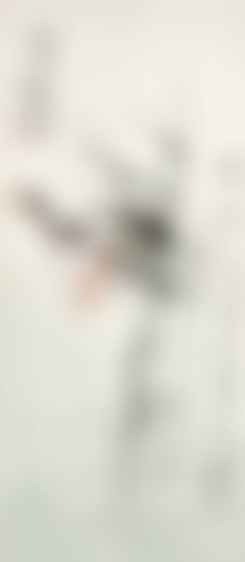 Spring River (preview)