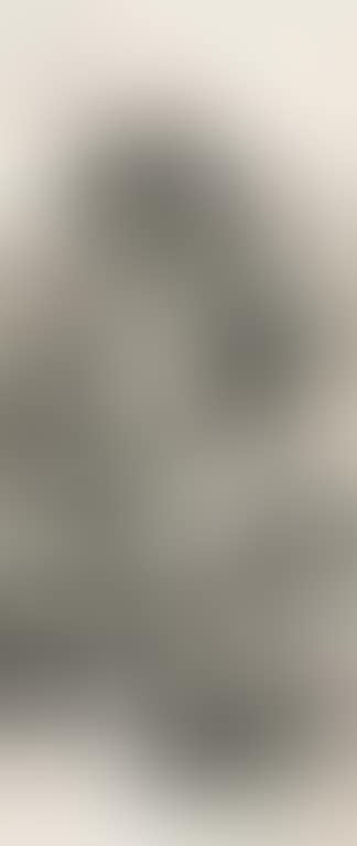 Landscape (preview)