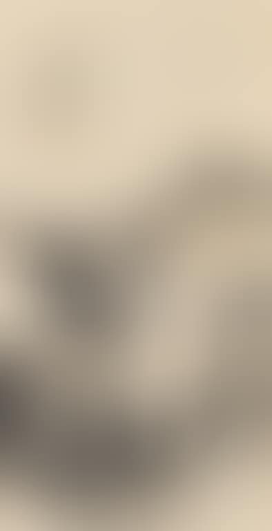 Rural Landscape (preview)
