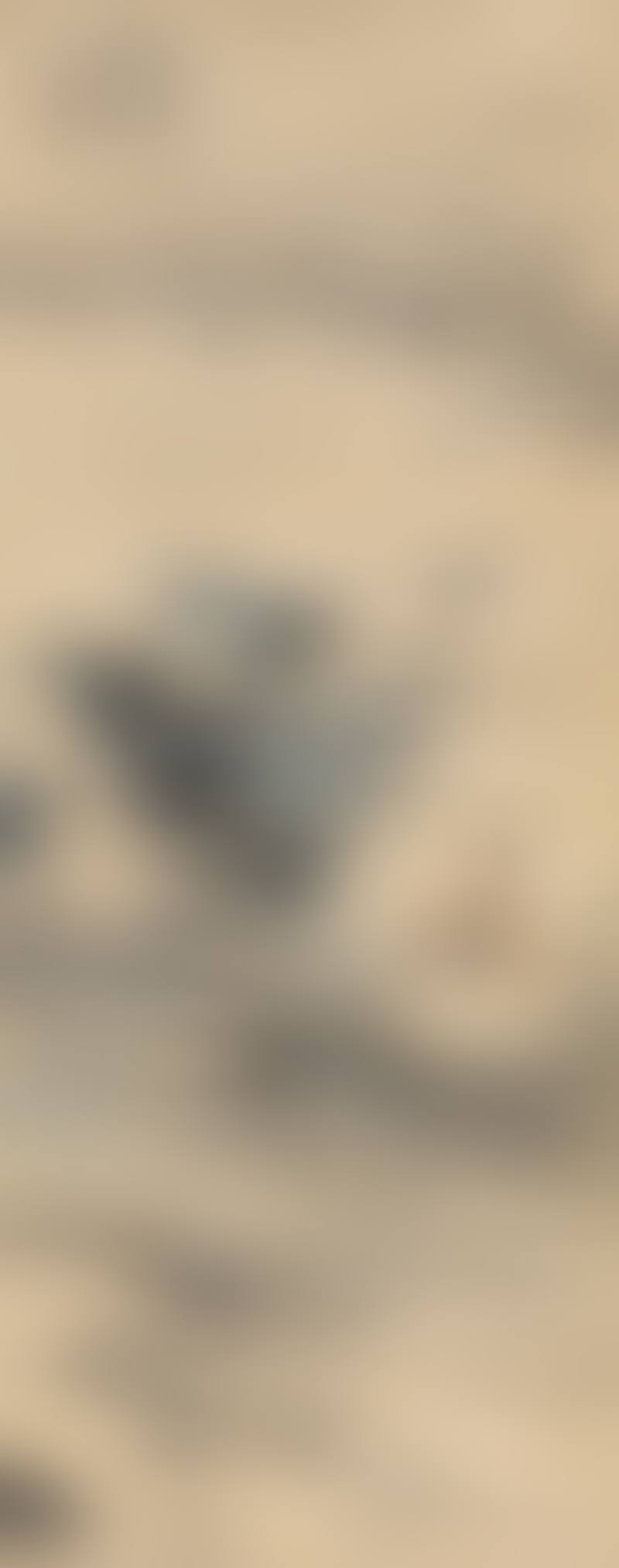 Lotus (preview)