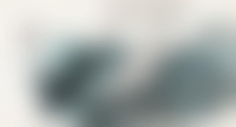 Lotus (preview)