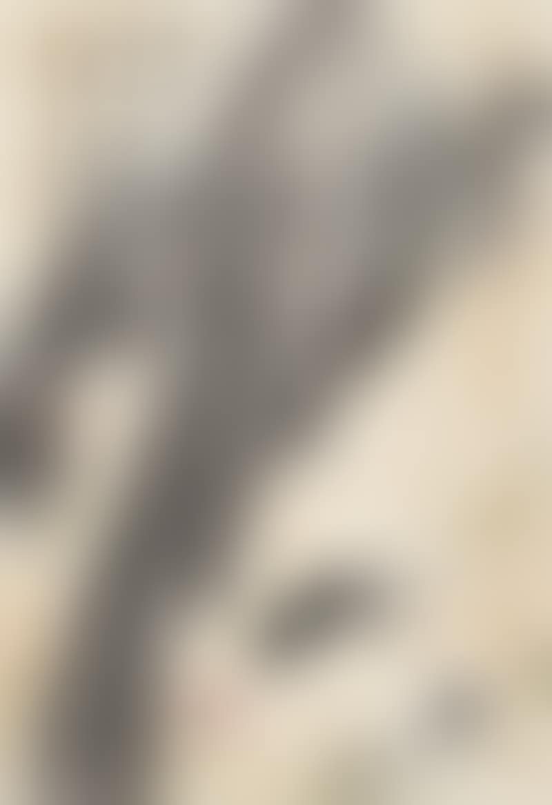 Fish (preview)