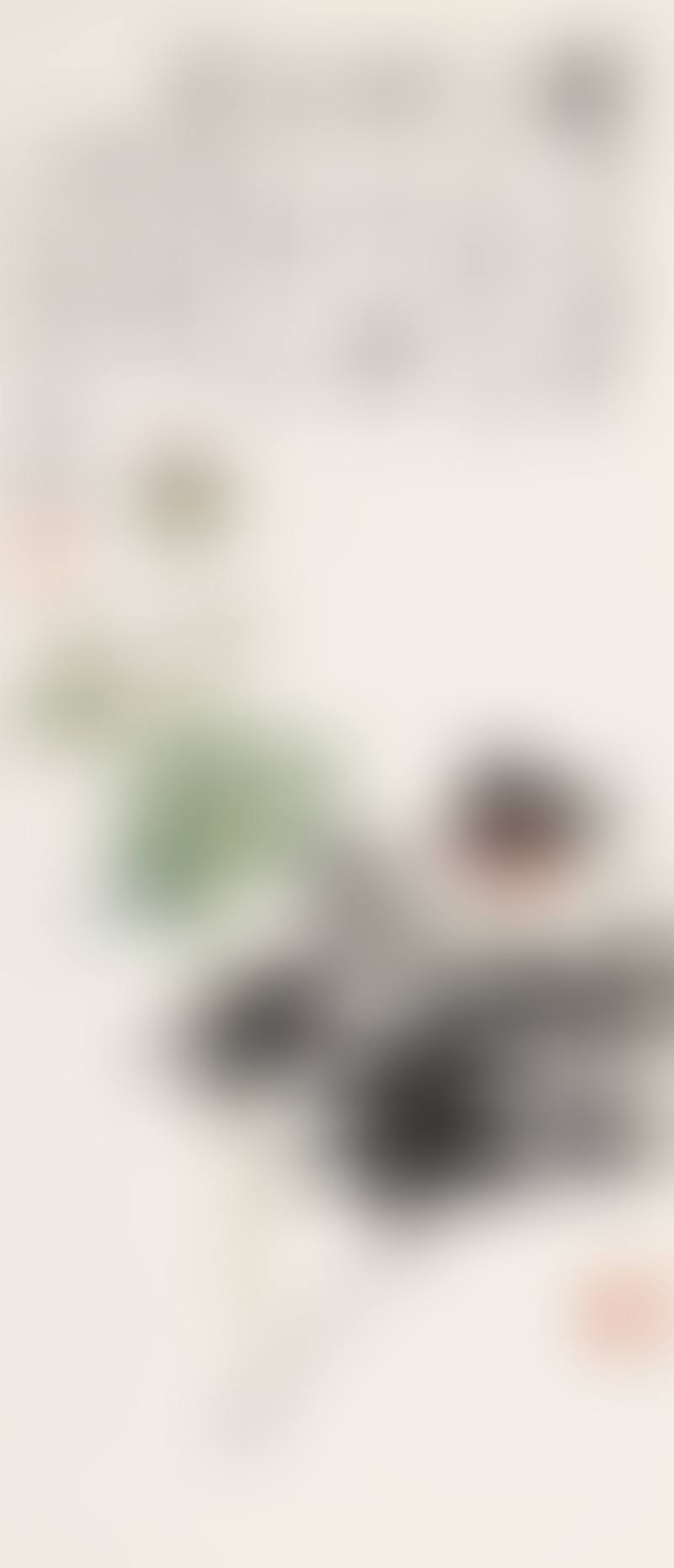 Paeonia (preview)