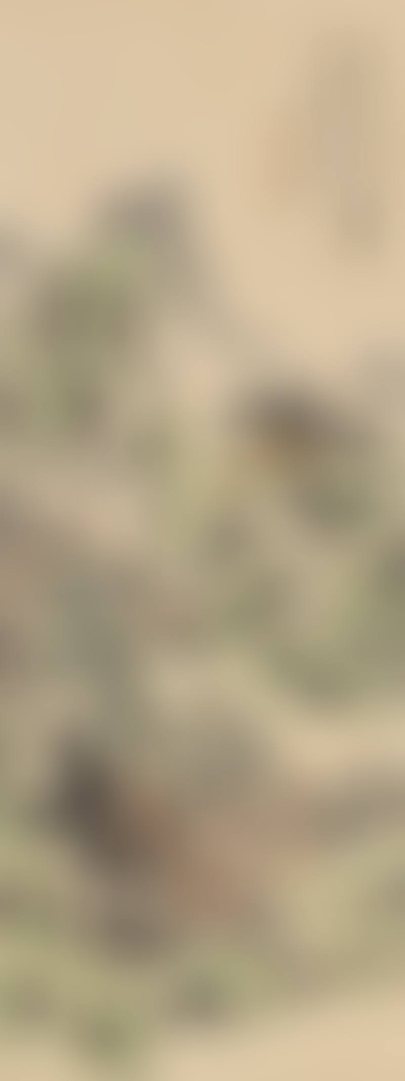 Landscape (preview)