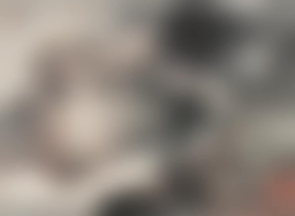 Landscape (preview)