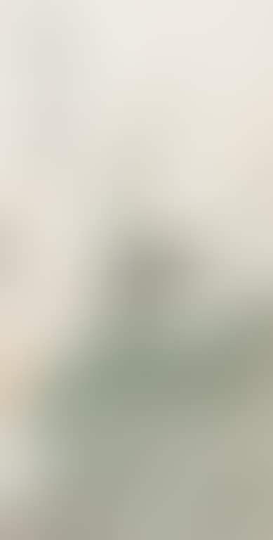 Lotus (preview)