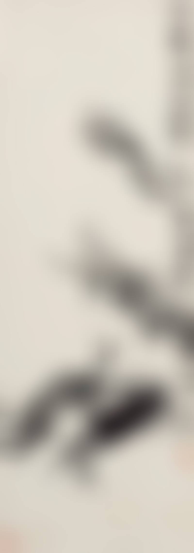 Crabs (preview)