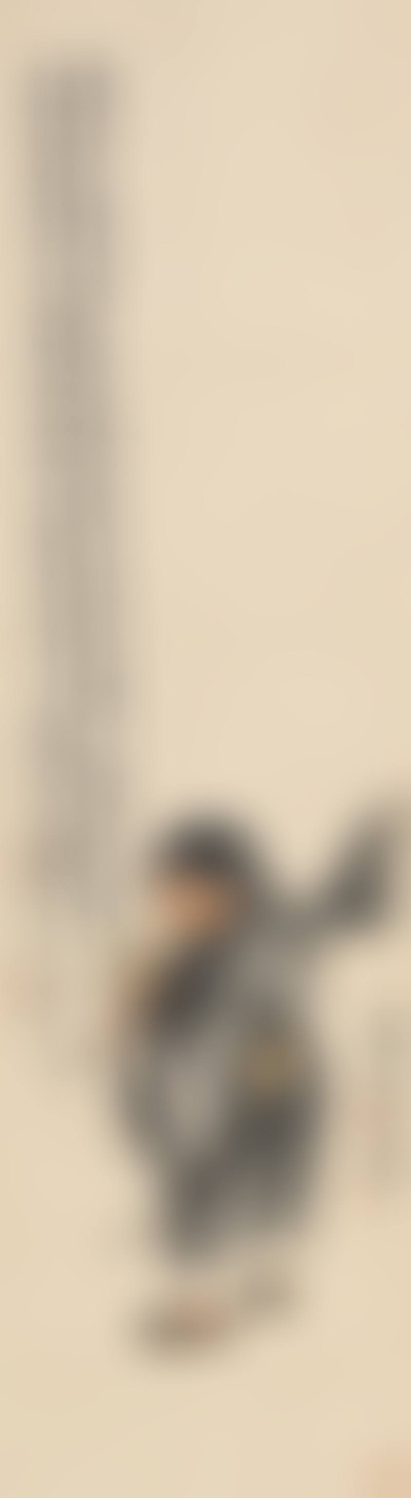 The Story Of Liu Hai And Jinchan (preview)