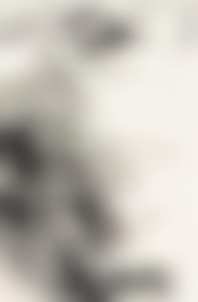 Dong Ting Lake (preview)