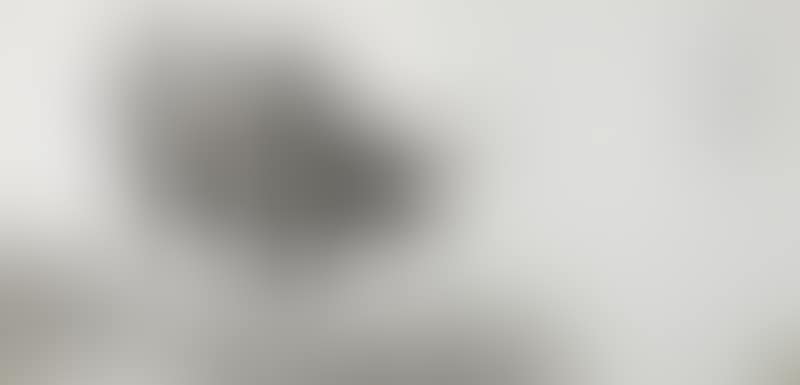 Ox (preview)