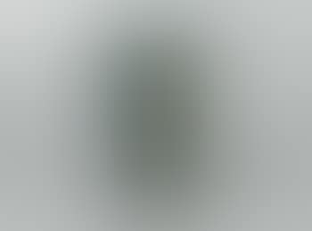Vase ,
1963 (preview)