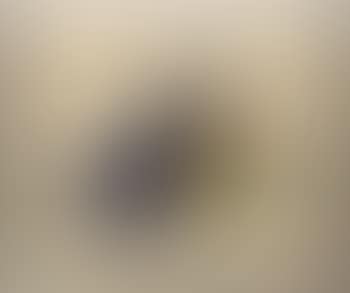 Study for sculpture I , (preview)