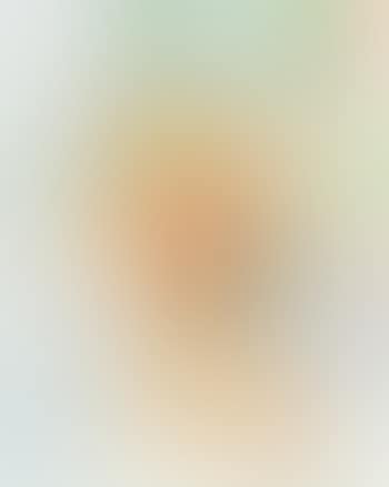 Portrait of a lady , (preview)